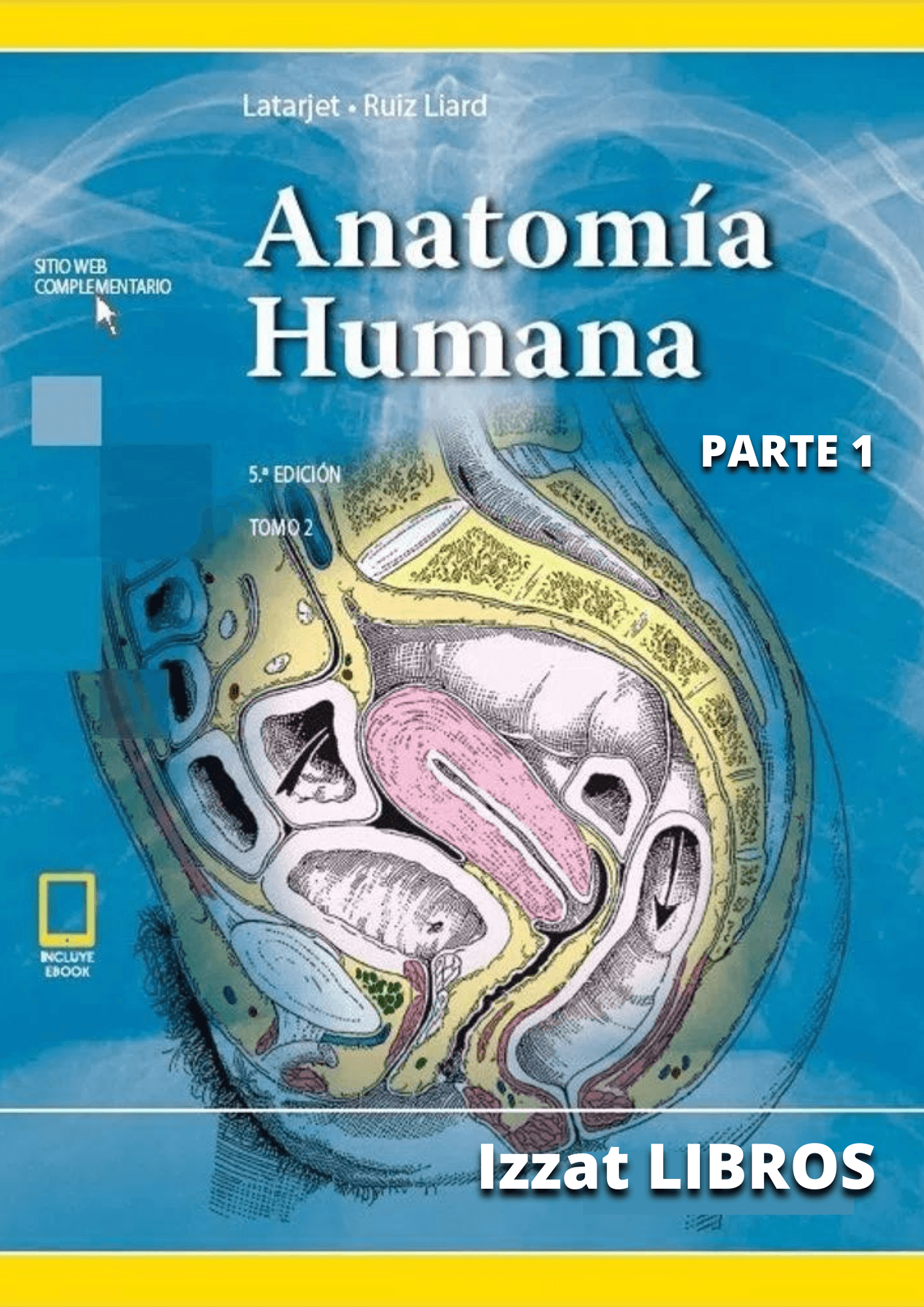Latarjet Tomo 2