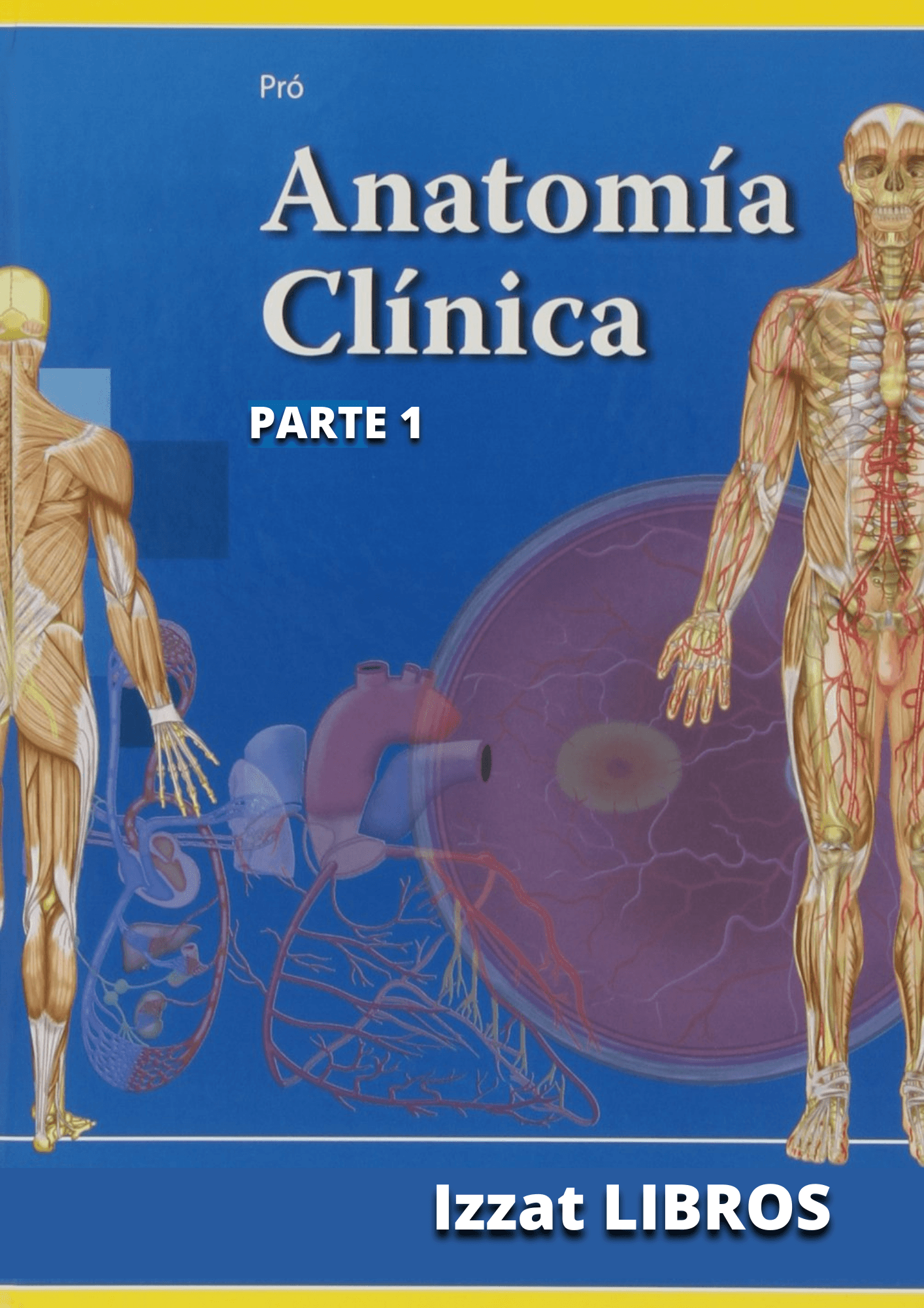 Anatomía Clínica - Pro